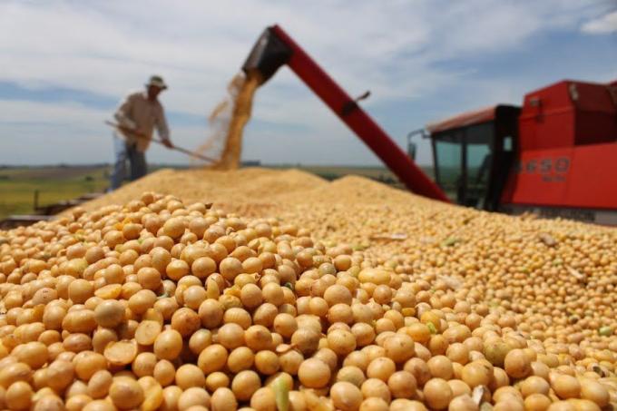 En 2016 fue récord la exportación de maíz