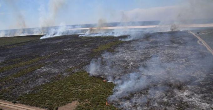 Los campos incendiados tardarán cuatro o cinco años en recuperarse