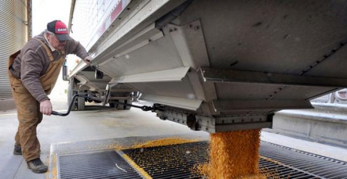 Se liquidaron divisas por u$s 294 millones en primera semana