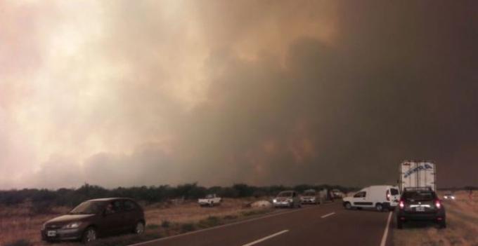 En Río Negro se quemó 20 % de los campos destinados a la ganadería bovina