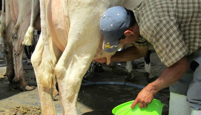 El año arrancó con un desastre climático en la cuenca santafesina luego de que la producción nacional de leche cerrara el 2016 con una baja del 13%