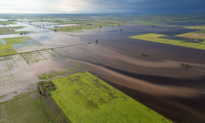 INTA: “Los técnicos están trabajando en este contexto de emergencia”