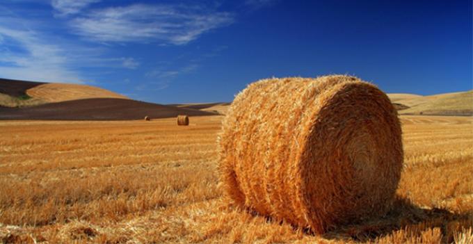Agroindustria entregó forraje a los productores afectados por los incendios