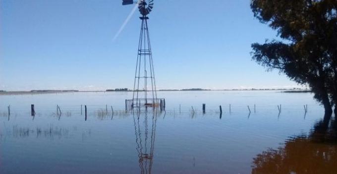 Prorrogan en forma automática las declaraciones de emergencia agropecuaria