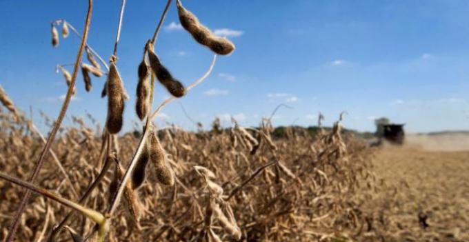 El USDA estimó menos producción global de granos 2016/2017