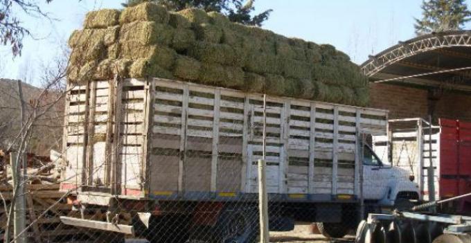 Entregan 12.000 fardos de pasto a productores afectados por incendios