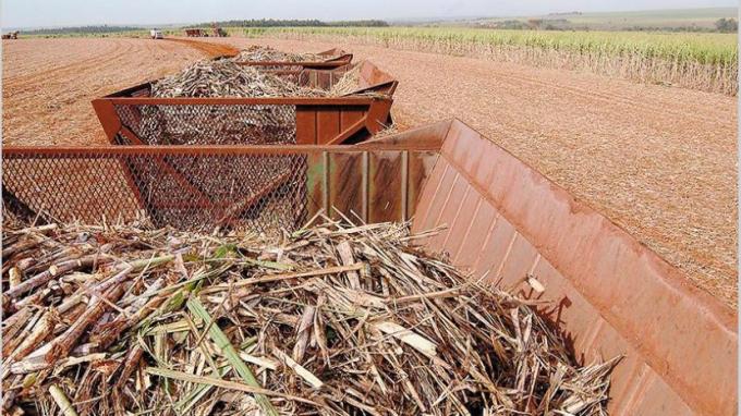 Exportaciones de productos regionales crecieron 22% tras cinco años de caídas