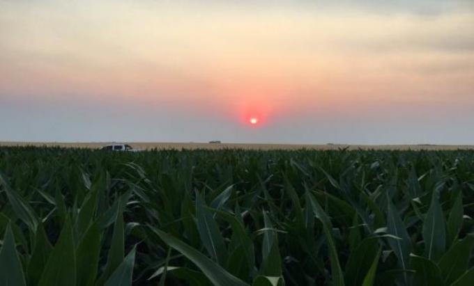 En 2016 la agroindustria ingresó más de US$ 28.000 millones