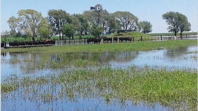 Inundaciones: pronostican pérdidas para el campo de hasta US$ 1750 millones