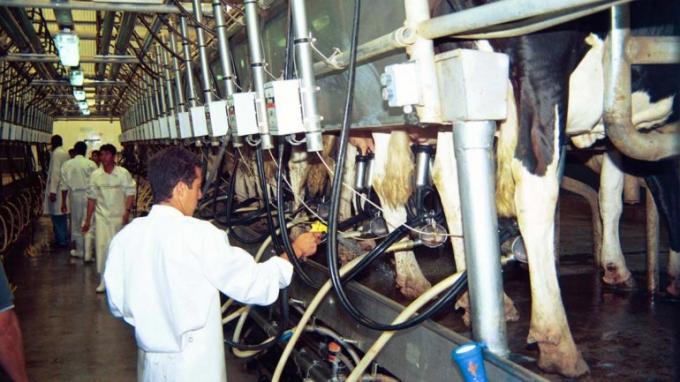 6 millones de litros de leche menos