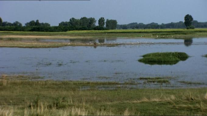 En 2016 apenas 15% de lo recaudado por el Fondo Hídrico se usó para controlar inundaciones en zonas productivas