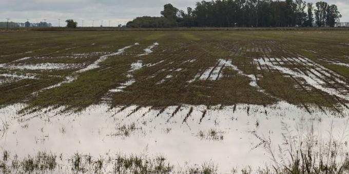 Calculan que 3,5 millones de hectáreas están afectadas por las inundaciones