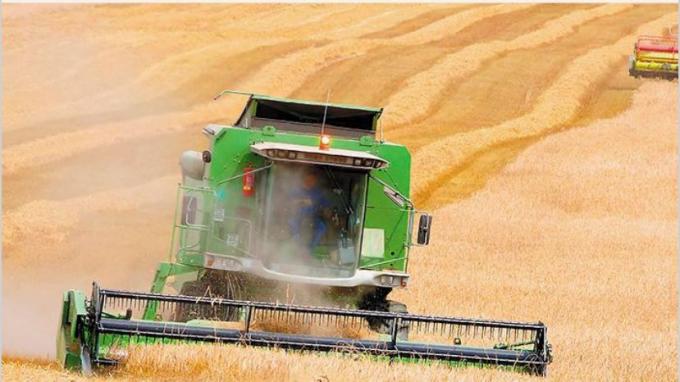Commodities: advierten que el nivel de sobreoferta le pone un límite al ciclo alcista