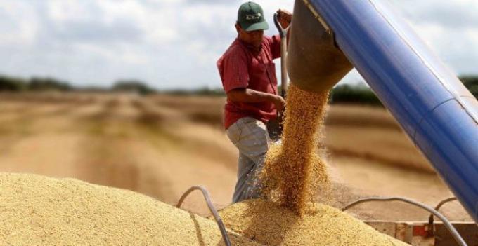 ¿Argentina podría "vivir" sin la soja?