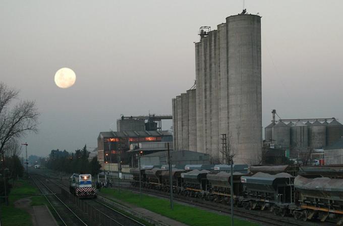 Anuncian acuerdo para la determinación de la calidad del trigo