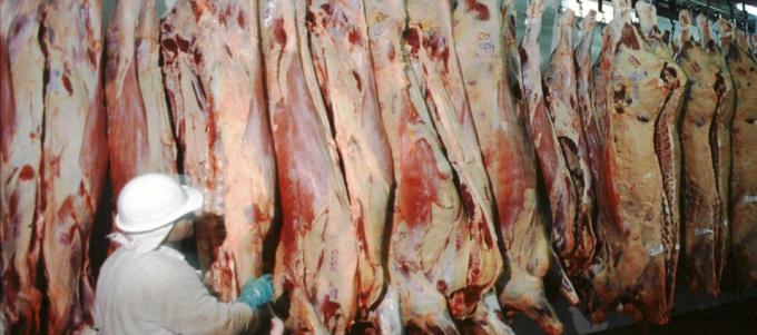 La faena de bovinos se mantuvo firme durante el primer mes del 2017
