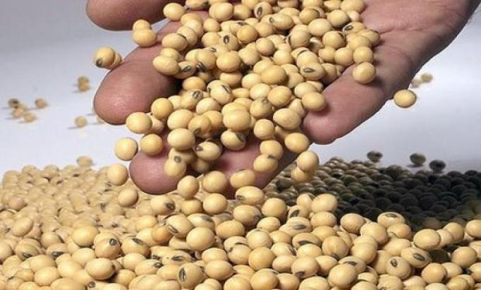 Soja: difunden los nombres de 2528 productores que no hicieron una presentación ante el Inase