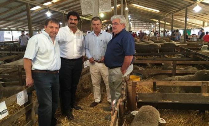 Sarquís afirmó que la carne ovina bonaerense es de excelente calidad