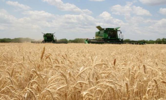 Histórico: exportación de trigo será la mayor en 10 años