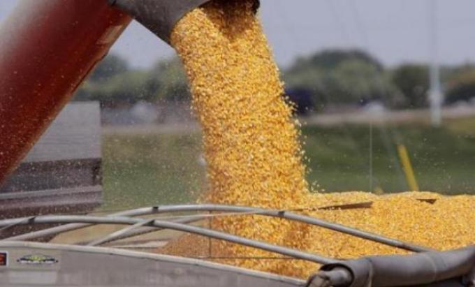Fastidio de productores por el atraso en la devolución del IVA