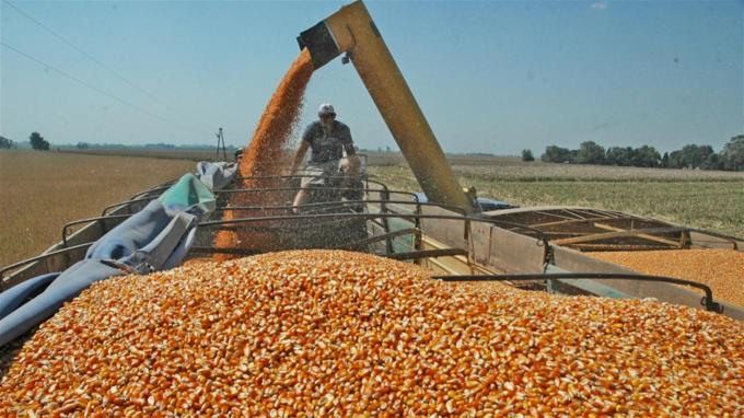 Ingenieros agrónomos bonaerenses impulsan un Colegio propio para su profesión