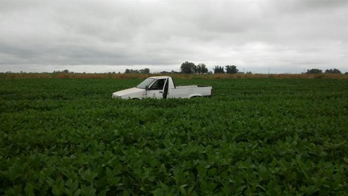 La soja en Córdoba, con lotes muy buenos y otros afectados por los excesos hídricos