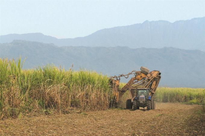 Boom de exportaciones de azúcar: subieron 211% en volumen