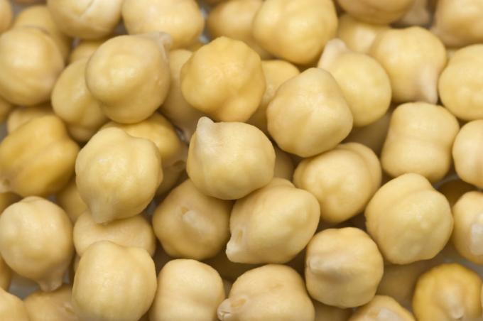 Quizás el mejor negocio agrícola del ciclo 2016/17: precios altísimos para el garbanzo con una buena cosecha