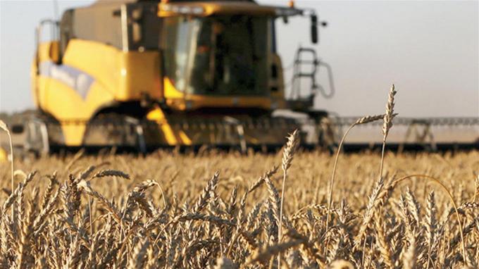 Cuánto aportará al PBI el mayor valor de la cosecha del agro