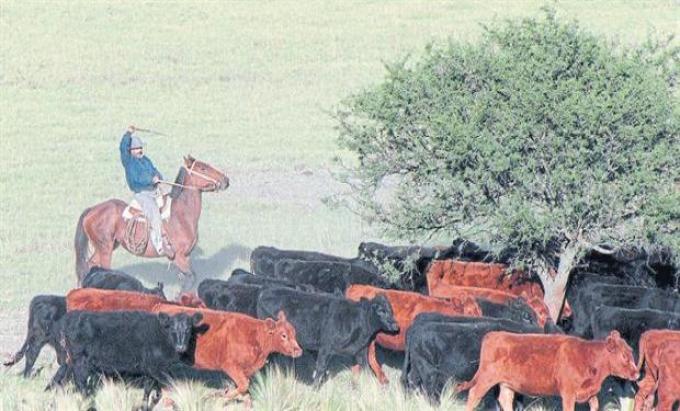 Cómo puede impactar en el campo una reforma tributaria