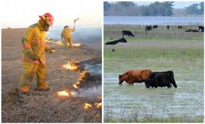 Inundaciones e incendios: suspensiones por causas de fuerza mayor en el ámbito rural.