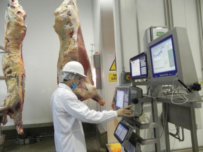 Argentina volverá a tener datos confiables del sector ganadero luego de una década de oscurantismo estadístico