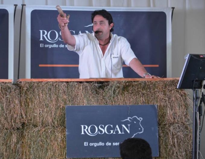Se interrumpió el proceso de retención de vientres: los valores de las categorías de cría no lograron ganarle a la inflación