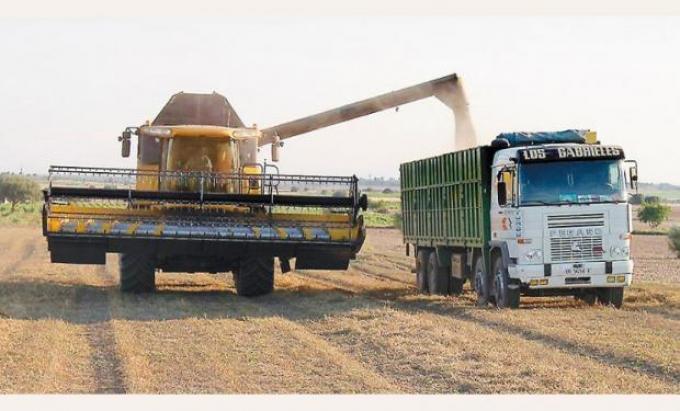 1 de cada 8 puestos de trabajo es generado por la agroindustria en Buenos Aires