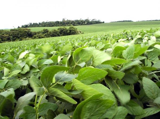 El campo en todas las escuelas: proponen incluir las buenas prácticas agrícolas en los contenidos educativos obligatorios para generar conciencia