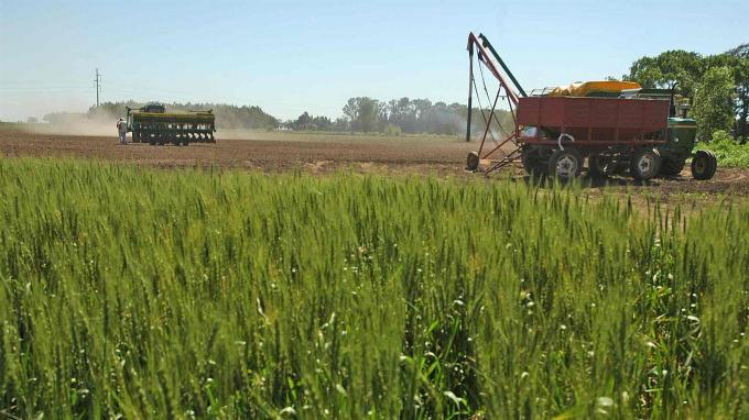 Cómo la carga impositiva puede afectar la liquidez del campo