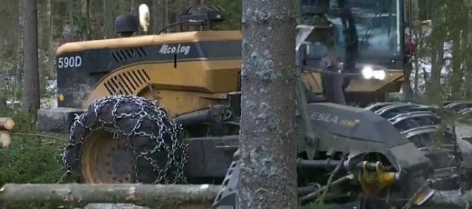 Según el ministerio de Ambiente “se redujo un 16% la deforestación en 2016”
