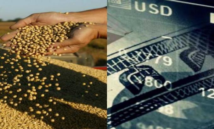 Inversiones poscosecha: ¿peso o dólar?