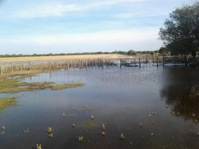 El buen tiempo regresa desde mañana