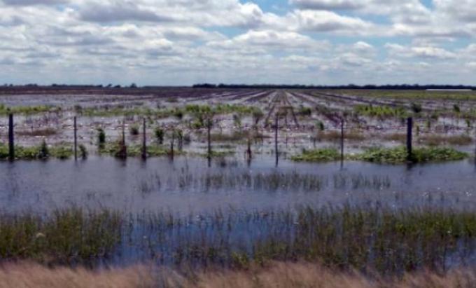 Inundaciones: están en riesgo unos u$s 5000 millones