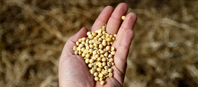 Cuál es el mercado potencial para exportar productos del agro a México
