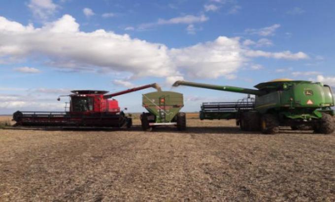 En la zona núcleo no son los rindes que se esperaban