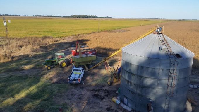 Adreani: “Si la soja no sube de precio se está incubando una de las peores crisis del sector agrícola”
