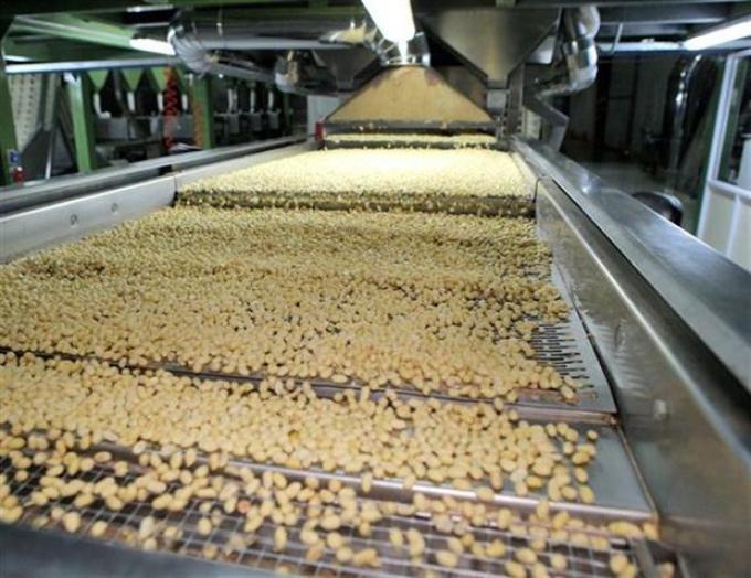 Córdoba: la industria del maní pierde competitividad por el costo de la energía