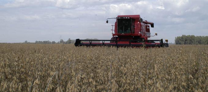 Los rendimientos de soja de la Zona Núcleo se cayeron en el tramo final