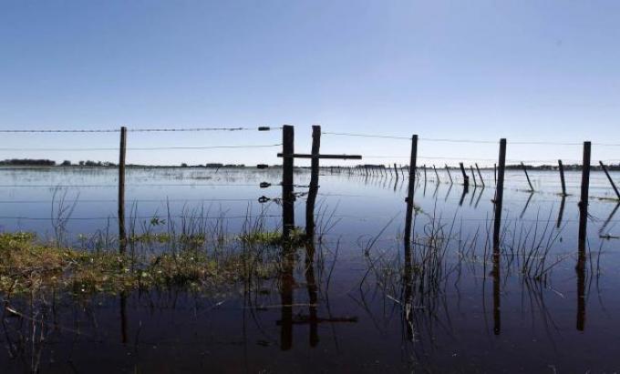 Presentan un proyecto para un sistema de seguros agropecuarios