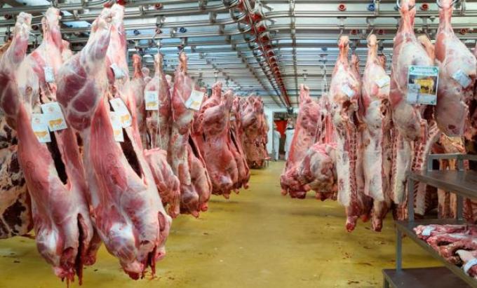 Carne vacuna: 5 factores pendientes para crecer en exportación 