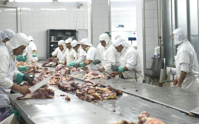 La industria frigorífica cuestionó duramente al Gobierno por la falta de control en la cadena