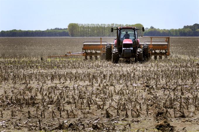 Campaña de granos finos: qué va a pasar con el clima en los próximos meses