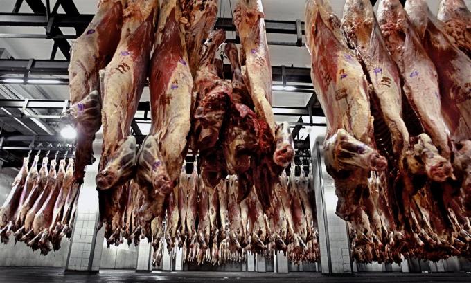 Por segundo año seguido, en 2016 un frigorífico nacional fue el principal exportador de carne vacuna